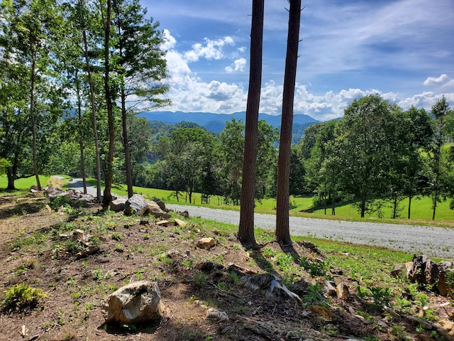 Listing photo 2 for LOT11 Draft Rd, Butler TN 37640