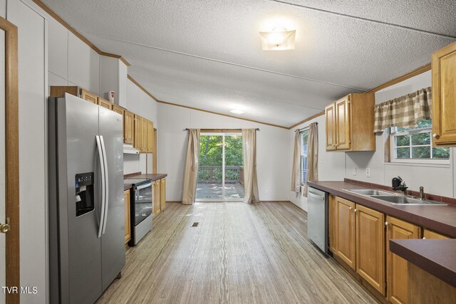 kitchen with lofted ceiling, a healthy amount of sunlight, appliances with stainless steel finishes, and light hardwood / wood-style floors