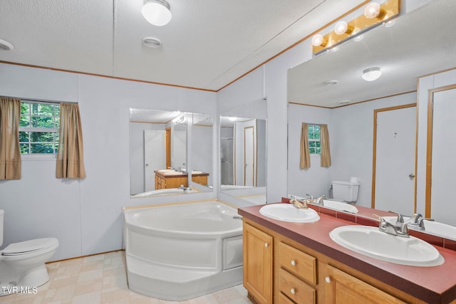 bathroom featuring vanity, toilet, a bath, and a textured ceiling