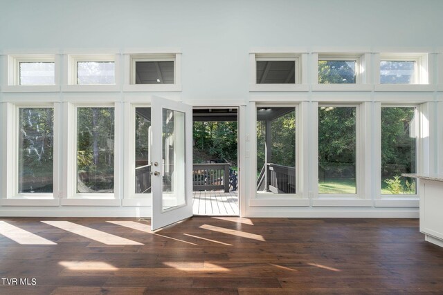 doorway to outside featuring dark hardwood / wood-style floors, a towering ceiling, and french doors