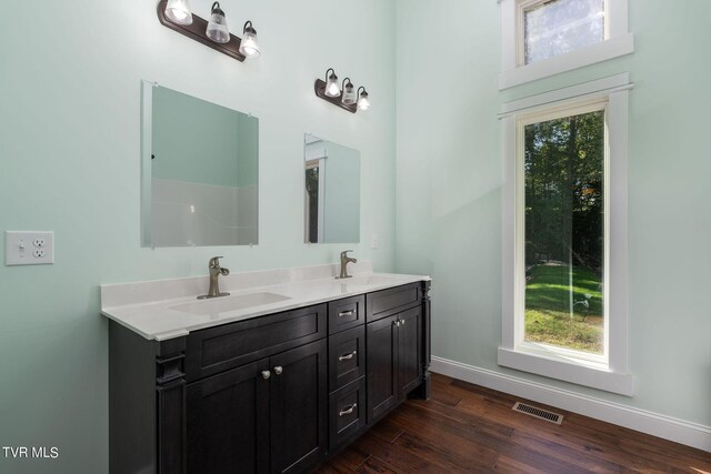 bathroom with vanity and hardwood / wood-style flooring