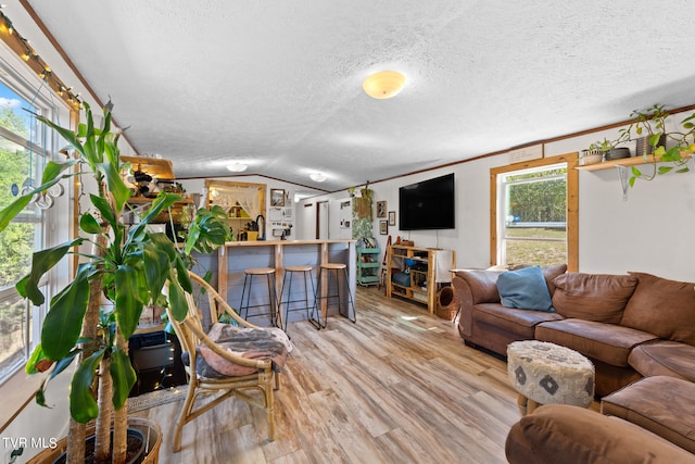 living room featuring crown molding, light wood-type flooring, a textured ceiling, and vaulted ceiling