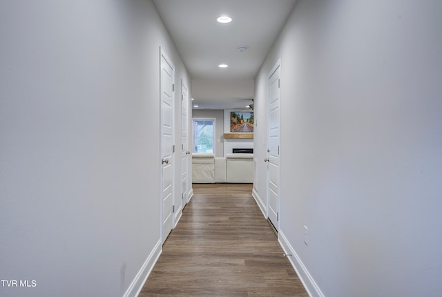 hallway featuring wood-type flooring