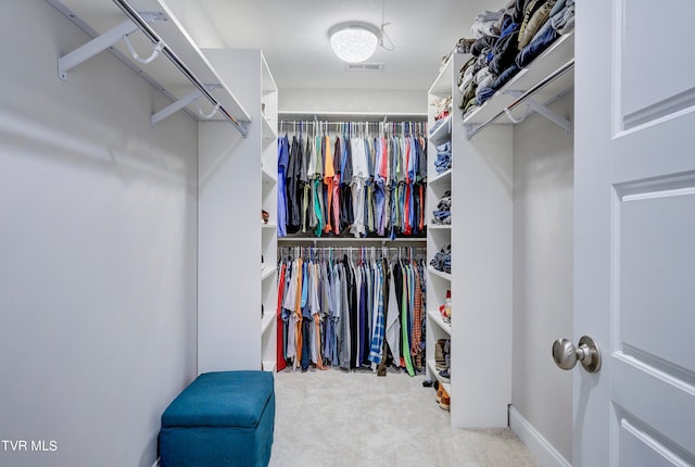 spacious closet featuring light colored carpet