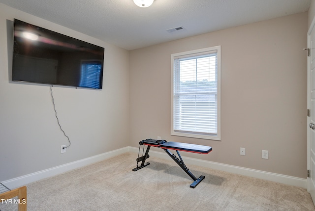 workout area featuring light colored carpet and a textured ceiling