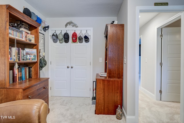 interior space featuring a textured ceiling and light colored carpet