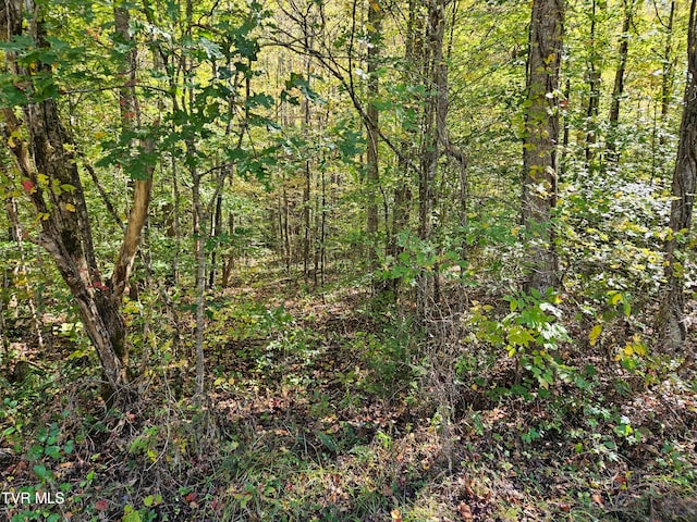 0000 Cave Springs Rd, Rogersville TN, 37857 land for sale