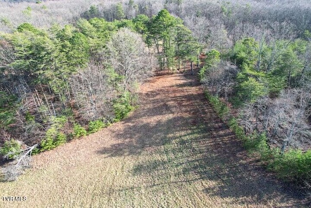 20ACRES Perry Davis Rd, Greeneville, TN 37743 - photo 2