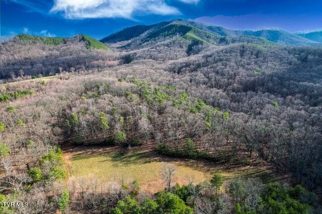 20ACRES Perry Davis Rd, Greeneville, TN 37743 - photo 1