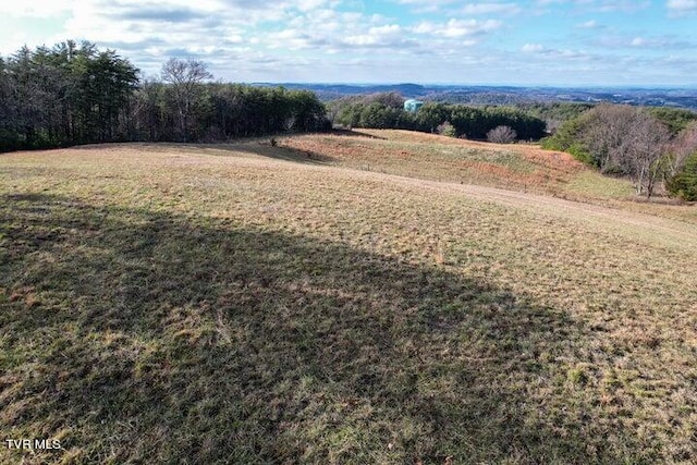 20ACRES Perry Davis Rd, Greeneville, TN 37743 - photo 3