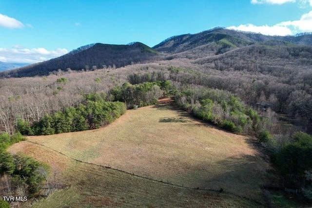 20ACRES Perry Davis Rd, Greeneville, TN 37743 - photo 4