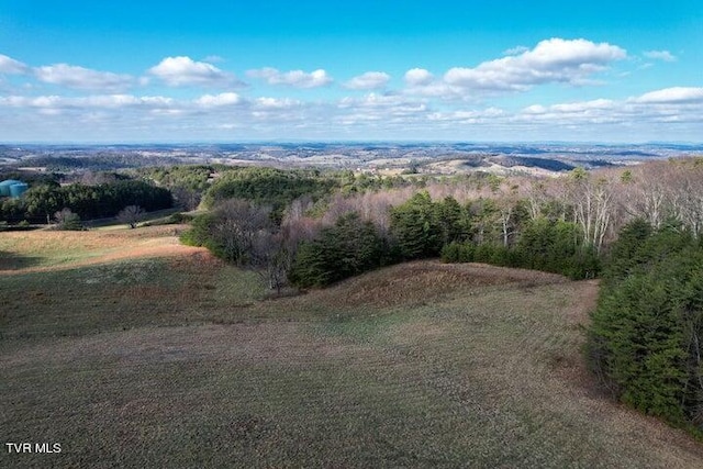 20ACRES Perry Davis Rd, Greeneville, TN 37743 - photo 5