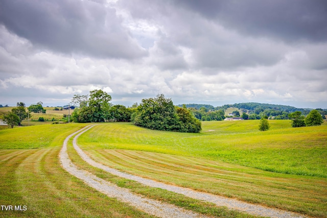 view of community with a lawn