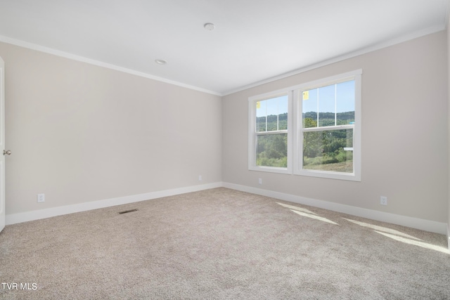 carpeted spare room with ornamental molding