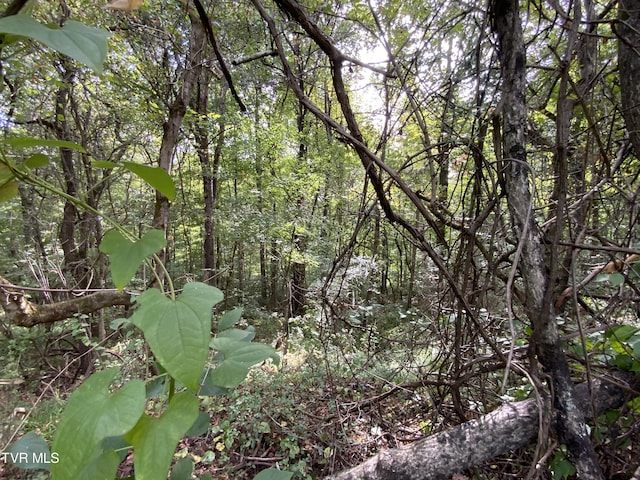 0000 Davis Rd, Rogersville, TN 37857 - photo 5