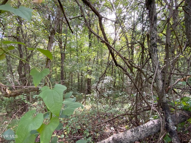 0000 Davis Rd, Rogersville, TN 37857 - photo 6