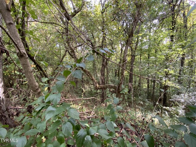 0000 Davis Rd, Rogersville, TN 37857 - photo 7