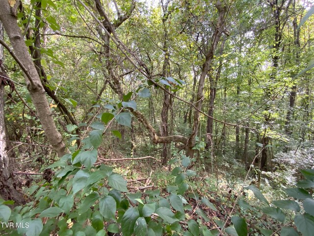 0000 Davis Rd, Rogersville, TN 37857 - photo 8