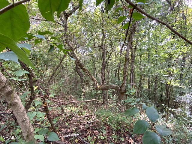 0000 Davis Rd, Rogersville, TN 37857 - photo 10