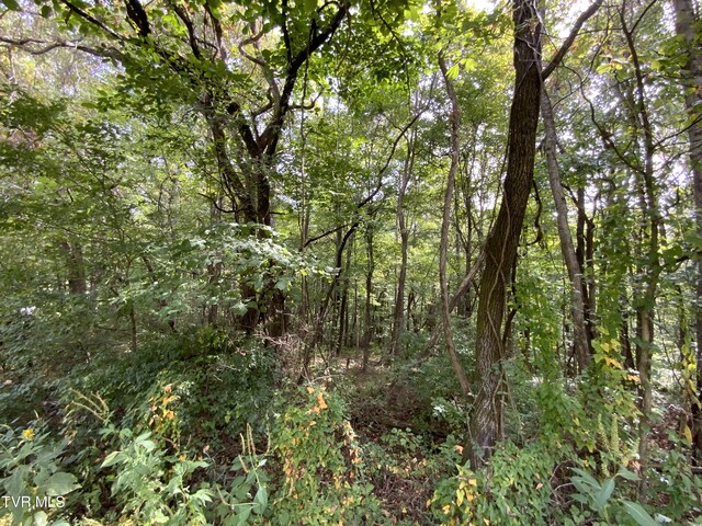 0000 Davis Rd, Rogersville, TN 37857 - photo 11
