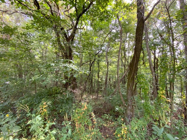 0000 Davis Rd, Rogersville, TN 37857 - photo 12