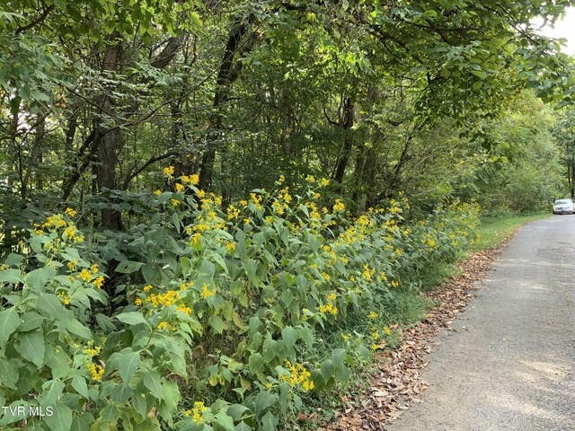 0000 Davis Rd, Rogersville, TN 37857 - photo 13