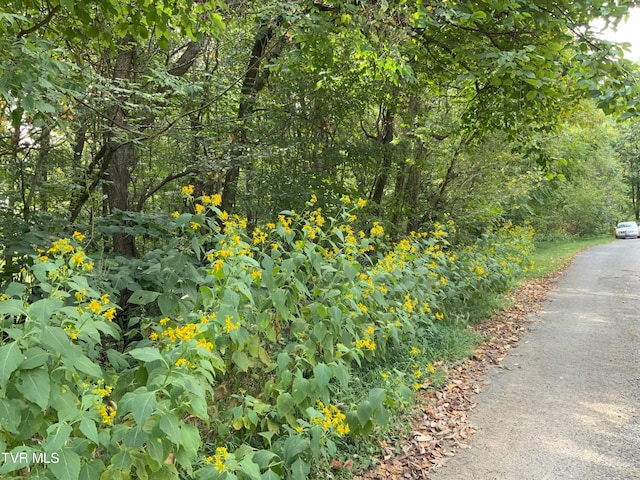 0000 Davis Rd, Rogersville, TN 37857 - photo 14