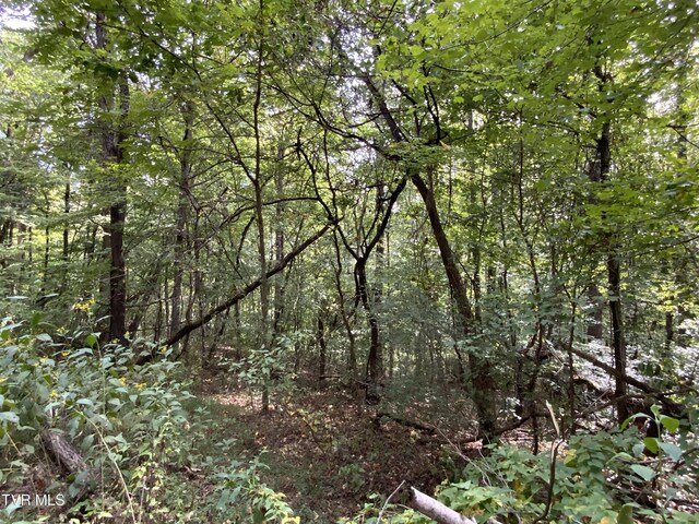 0000 Davis Rd, Rogersville, TN 37857 - photo 15