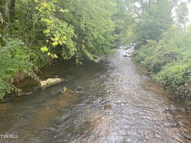 view of local wilderness