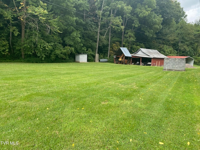 view of yard with a storage shed