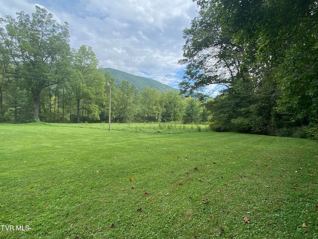 view of yard with a mountain view