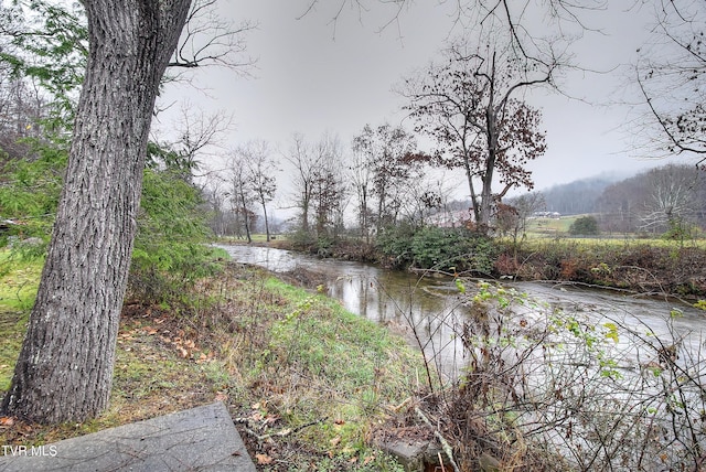 property view of water