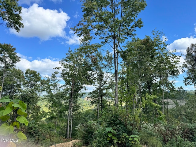 Listing photo 2 for LOT2809 Aily Rd, Clinchco VA 24226