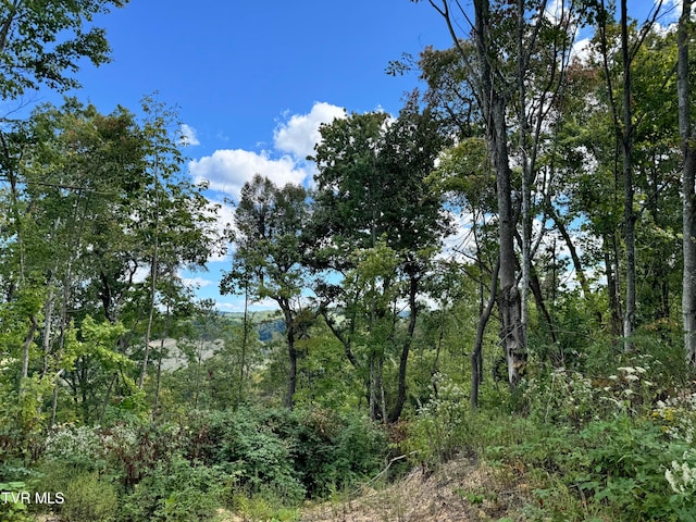 Listing photo 3 for LOT2809 Aily Rd, Clinchco VA 24226