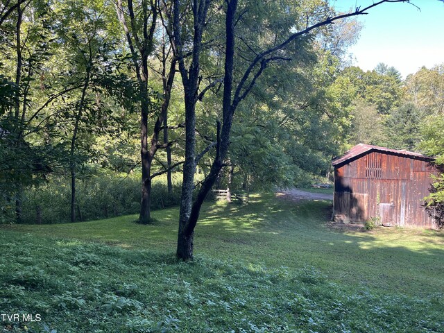 view of yard with a storage unit