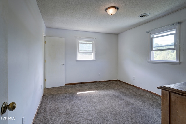 spare room featuring a textured ceiling, a healthy amount of sunlight, and carpet