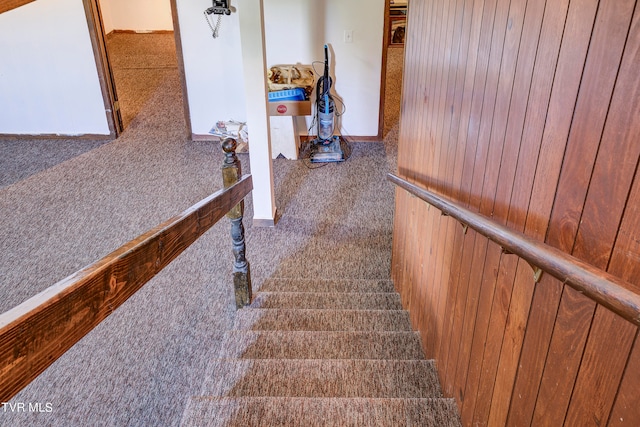 stairway featuring carpet floors