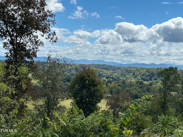 property view of mountains