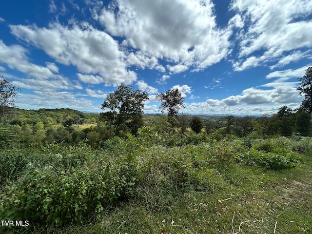 view of landscape