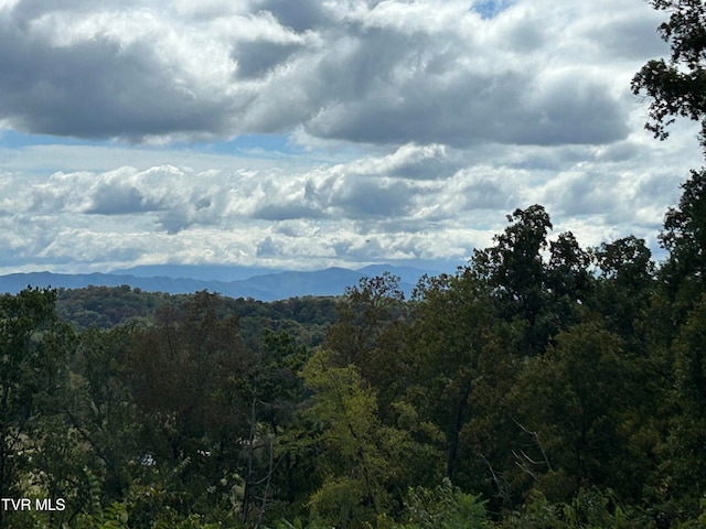 view of mountain feature