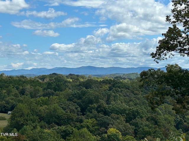 property view of mountains