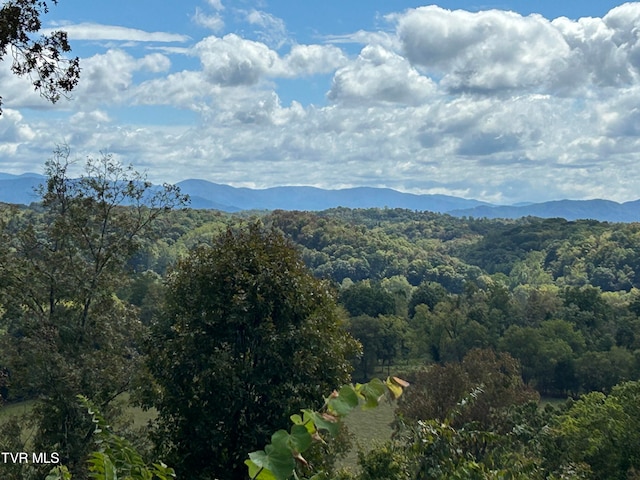 property view of mountains