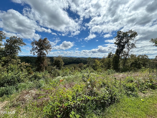 view of landscape