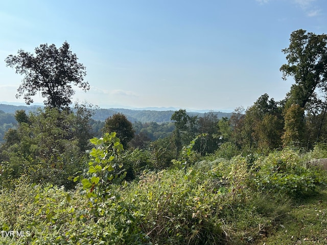 view of mountain feature