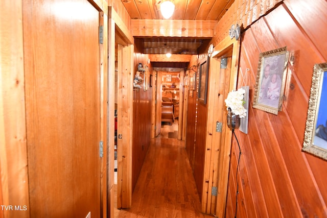 hallway featuring wood walls, hardwood / wood-style flooring, and wooden ceiling