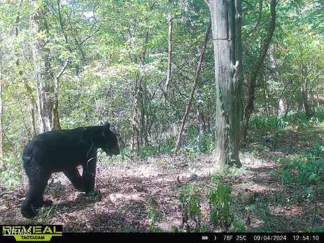 1300 Fish Hatchery Rd, Mohawk, TN 37810 - photo 93