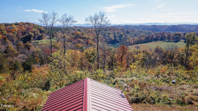 property view of mountains