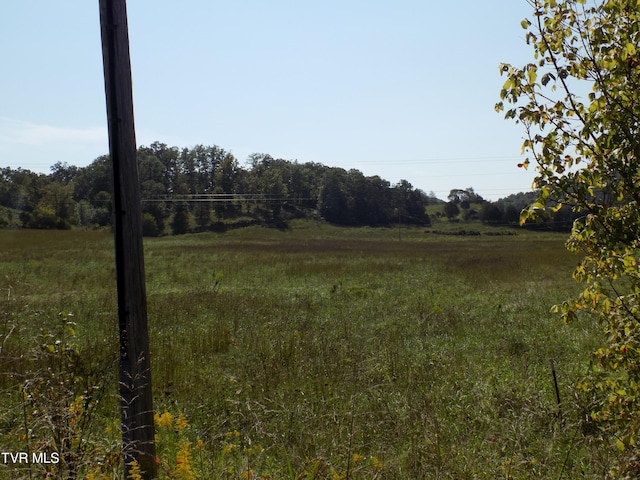 view of local wilderness with a rural view