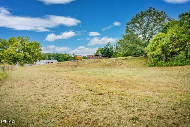 view of yard with a rural view