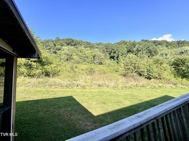 246 Keenburg Rd, Elizabethton, TN 37643 - view of yard with a forest view